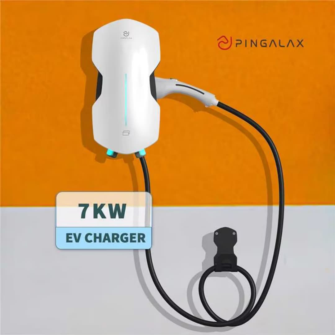 EV Charging Infrastructure in Rural Areas (باللغة الإنجليزية): Challenges and Solutions (باللغة الإنجليزية)